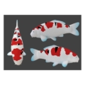 Detailansicht Koi-Magnet Variante
