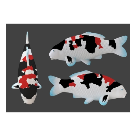 Koi-Magnete in drei gemischten Varianten