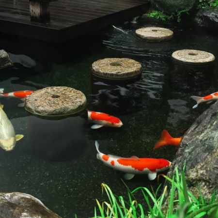 Mountain Tree Koi Pond S mit Koi