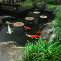 Detailansicht Mountain Tree Koi Pond