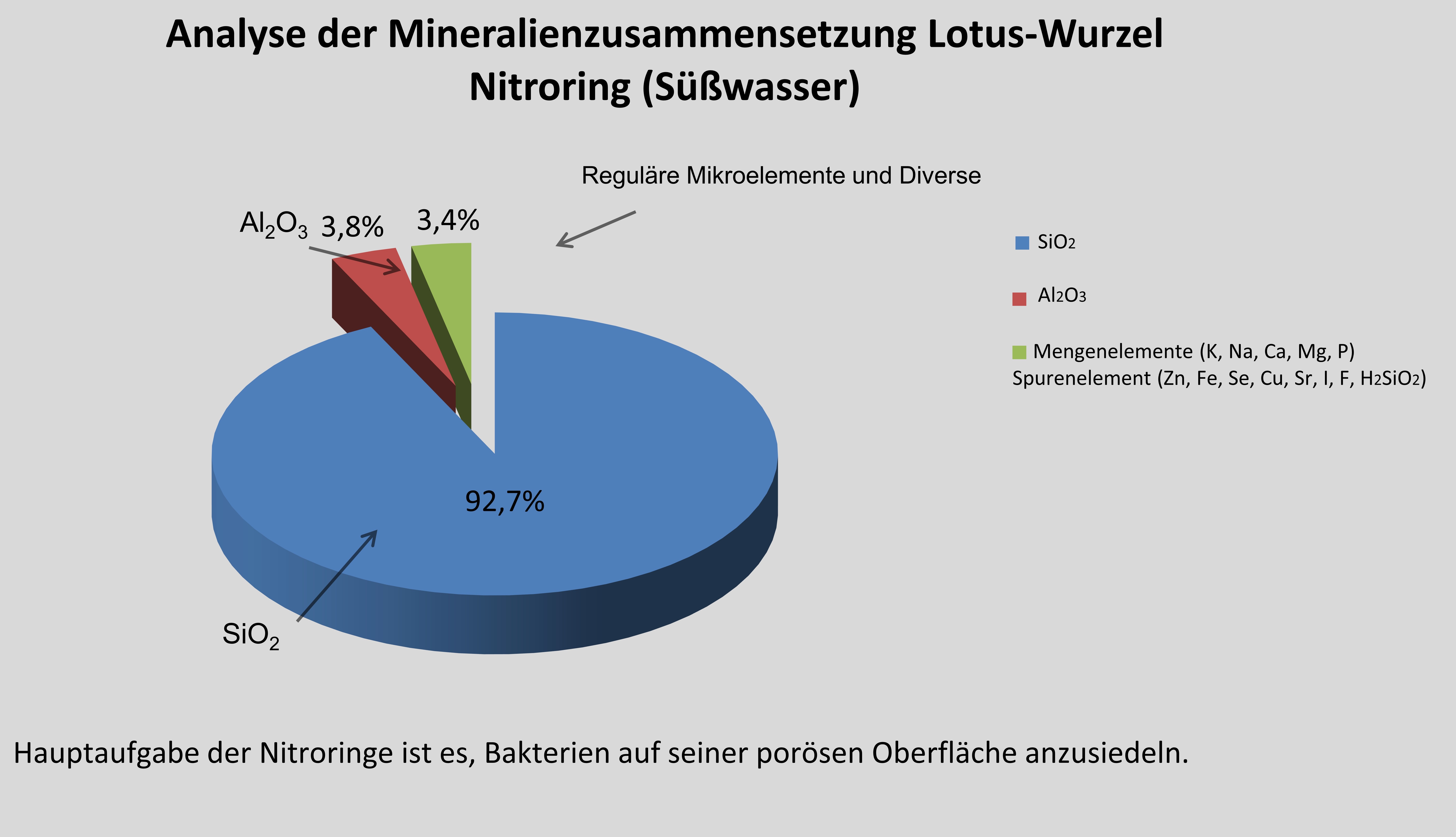 Mineralien_Lotus-Wurzel_Nitroring_suesswasserFwA8xgk1pPiuK