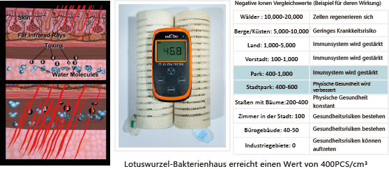 Fernifrarot_Strahlen_Negative_Ionen_Bakterienhaus