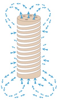Funktion_Bakterienhaus_Filter