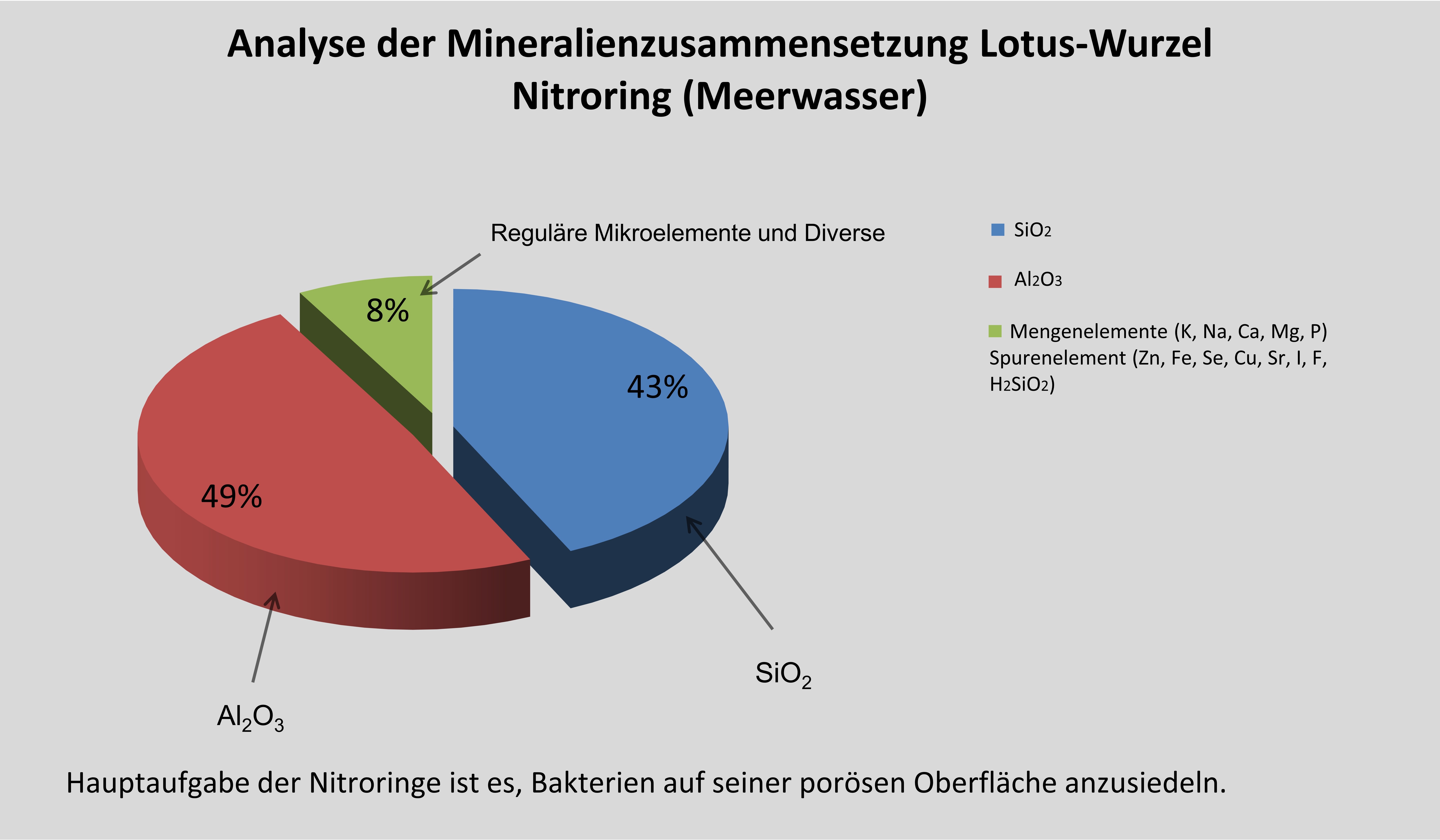 Mineralien-Lotus-Wurzel-Nitroring-MeerwasserEj18mG9EK6Ca8