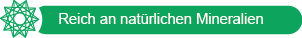 Mineralien_Bakterienhaus_Mountain_Tree_Icon
